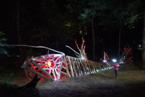 Photo de nuit d'un poisson échoué dans la forêt des Landes.