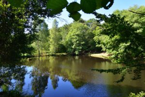 Photographie de paysage, les reflets ont attiré mon attention.